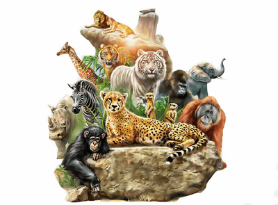 Animals