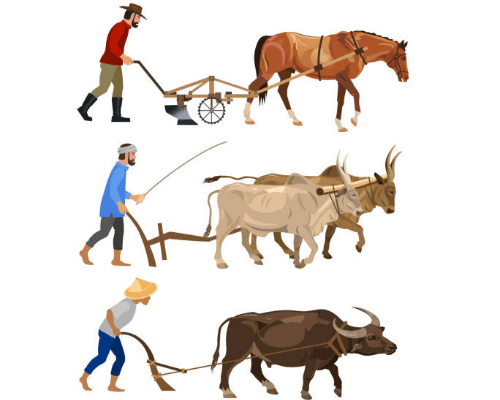 Farming Tools